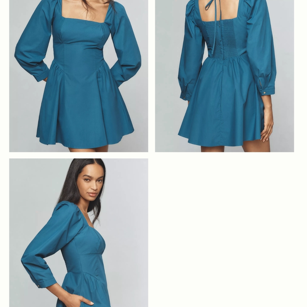 Anthropologie Blue Fit and Flare Dress with Bishop Sleeves